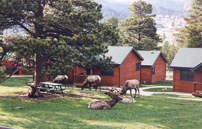 Mountain Shadows Resort...Luxury Couples Cabins, Estes Park, Colorado, Pet Friendly, Romantic