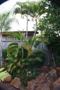 The Maui Guest House B&B, Lahaina, Hawaii